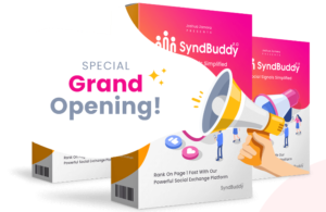 Read more about the article SyndBuddy AI 2k information best review in 2024